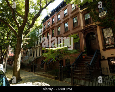 Arbres devant les maisons brownstone, Park Slope, Brooklyn, New York City, New York State, USA Banque D'Images