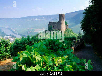 Château de Landshut dans Bernkastel-Kues, Rhénanie-Palatinat, Allemagne Banque D'Images