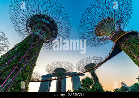 L'Asie du Sud Est, Singapour destinations célèbres par La Baie Jardin tourisme voyage attraction touristique Supertree Grove pendant blue Banque D'Images