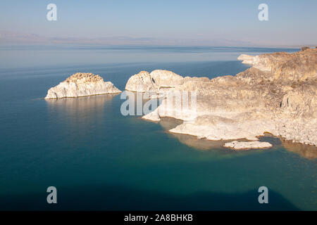 Les oiseaux sauvages assis sur des nids construits sur falaise blanche Banque D'Images