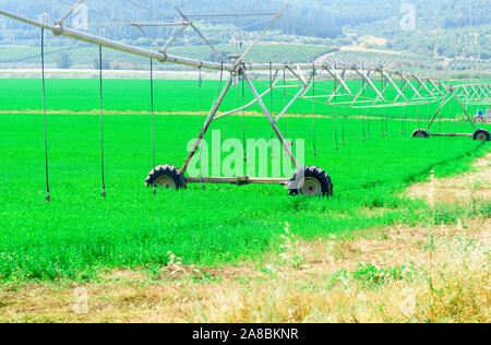 Le pivot central du système d'irrigation dans un champ vert dans une journée ensoleillée. L'agriculture moderne Banque D'Images