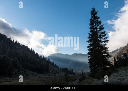 Un paysage minéral de King Road à Sequoia National Park (Californie). Banque D'Images