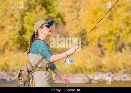 Une femme tire sa ligne qu'elle jette son fly sur la Powder River sur un après-midi d'automne ensoleillé. Banque D'Images