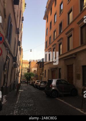 L'Italie, l'Italie, la Chine. Nov 8, 2019. ¯ItalyÃ Â¼Å«La Plaza de España en Italie a été le cadre de la Film Roman Holiday.Il est situé dans la région de Trinity Church, Italie.Plaza y compris le Governor's Mansion, jardins, chocolat maison, Spanish Arch et d'autres bâtiments. Crédit : SIPA Asie/ZUMA/Alamy Fil Live News Banque D'Images
