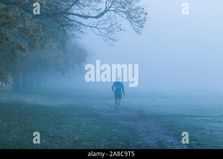 Londres, Royaume-Uni. Nov 8, 2019. Un jogger traverse un paysage couvert de brouillard sur Wimbledon Common, par un froid matin de novembre . Credit : amer ghazzal/Alamy Live News Banque D'Images