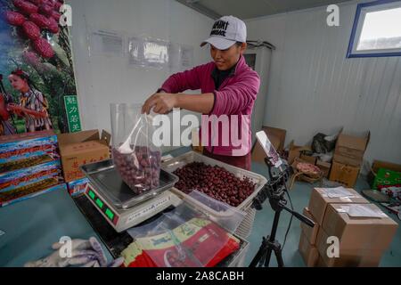 (191108) -- URUMQI, 8 novembre 2019 (Xinhua) -- Wang Hui, l'épouse de Chen Xiaoming, jujubes rouge packs à Ruoqiang Comté, nord-ouest de la Chine, la Région autonome du Xinjiang Uygur, 29 octobre, 2019. Chen Xiaoming est propriétaire de 21 um (1,4 hectares) de champs de jujube rouge Ruoqiang. Il y a quatre ans, Chen s'est joint à un cours en ligne d'affaires et a commencé à promouvoir son entreprise en ligne par jujube diffusion en direct. Vente en ligne Evènements 21-09-2010 'représentent environ 80 pour cent de mon rendement annuel total." a dit Chen. (Xinhua/Zhao Ge) Banque D'Images