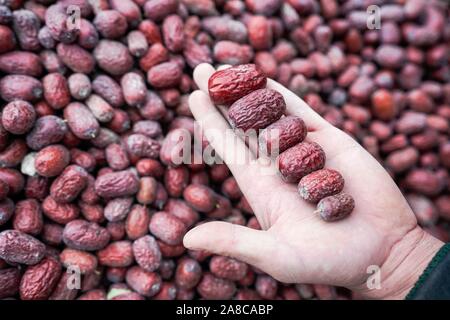 (191108) -- URUMQI, 8 novembre 2019 (Xinhua) -- Chen Xiaoming présente dans le comté de jujubes rouges Ruoqiang, nord-ouest de la Chine, la Région autonome du Xinjiang Uygur, 29 octobre, 2019. Chen Xiaoming est propriétaire de 21 um (1,4 hectares) de champs de jujube rouge Ruoqiang. Il y a quatre ans, Chen s'est joint à un cours en ligne d'affaires et a commencé à promouvoir son entreprise en ligne par jujube diffusion en direct. Vente en ligne Evènements 21-09-2010 'représentent environ 80 pour cent de mon rendement annuel total." a dit Chen. (Xinhua/Zhao Ge) Banque D'Images