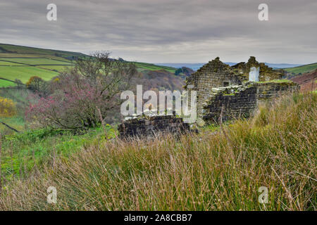Arbre d'aubépine et la Grange de la ruine, l'automne à Crimsworth Doyen, Hebden Bridge, West Yorkshire, Calderdale Banque D'Images