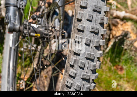 Détail du profil d'un pneu de vélo de montagne Banque D'Images