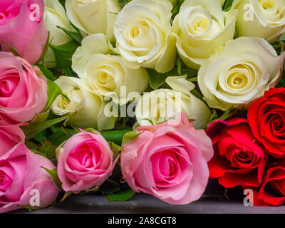 Bouquet de fleurs colorées, composition de roses multicolores. Arrière-plan de fête pour la carte postale, le désherbage, le 14 février concept, Selective focus Banque D'Images
