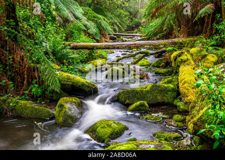 Erskine rivière traverse le parc national Great Otway à Victoria, en Australie. Banque D'Images