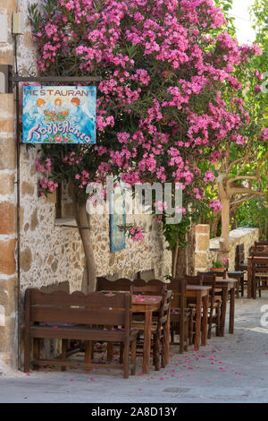 Palaiochora, la Canée, la Crète, la Grèce. Des tables de Taverna sous le Bush à la fleur de l'oléandre. Banque D'Images