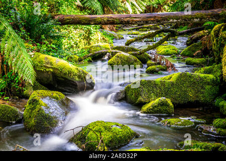 Erskine rivière traverse le parc national Great Otway à Victoria, en Australie. Banque D'Images