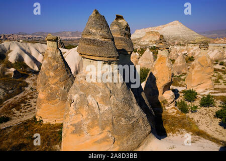 Pasabaglari cheminées de fées parc est cette vallée à couper le souffle est bien connu pour les plus divers collection de cheminées de fées de Cappadoce, Anatolie, Banque D'Images