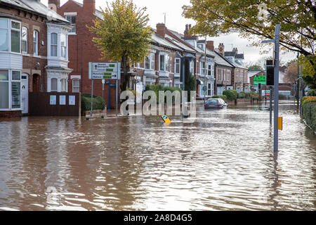 Worksop, Royaume-Uni. 8 novembre 2019. Inondations en Worksop, Royaume-Uni, suite à de fortes pluies qui ont causé la rivière à Ryton burst c'est les banques. Credit : Andy Gallagher/Alamy Live News Banque D'Images