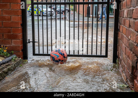 Worksop, Royaume-Uni. 8 novembre 2019. Inondations en Worksop, Royaume-Uni, suite à de fortes pluies qui ont causé la rivière à Ryton burst c'est les banques. Credit : Andy Gallagher/Alamy Live News Banque D'Images