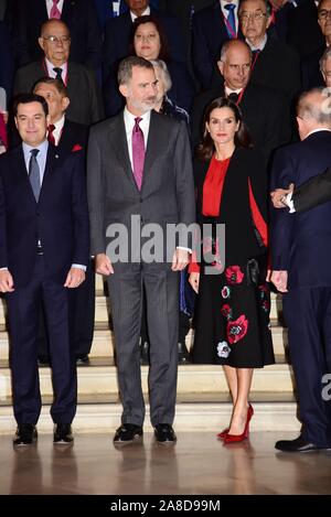 Séville, Espagne. 05Th Nov, 2019. Roi d'Espagne Felipe VI et La Reine Letizia rencontre avec les directeurs et les membres de Asale Pro Real Academia Foundation pendant 16 édition de ASALE (Asociacion de Academias de la Lengua Española) Congrès à Séville le Vendredi, 08 novembre 2019. Credit : CORDON PRESS/Alamy Live News Banque D'Images