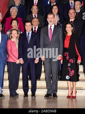 Séville, Espagne. 05Th Nov, 2019. Roi d'Espagne Felipe VI et La Reine Letizia rencontre avec les directeurs et les membres de Asale Pro Real Academia Foundation pendant 16 édition de ASALE (Asociacion de Academias de la Lengua Española) Congrès à Séville le Vendredi, 08 novembre 2019. Credit : CORDON PRESS/Alamy Live News Banque D'Images