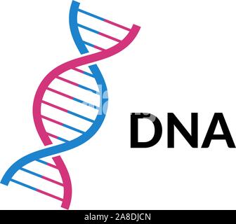 ADN en spirale isolé. Partie du gène vecteur d'évolution de l'acide désoxyribonucléique. Structure moderne et simple des éléments d'hélice génétique microbiologique sur fond blanc Illustration de Vecteur