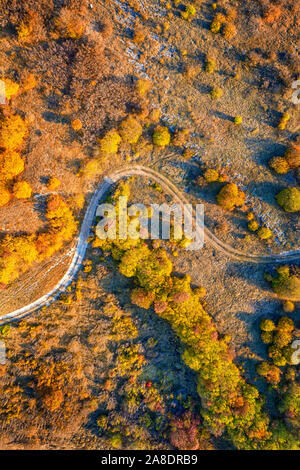 Vue de dessus de l'antenne de vrombissement d'automne parc paysage avec des arbres, pelouse, colorés et sentier de marche. Vue verticale Banque D'Images