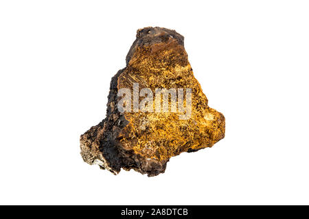 Plus de 20 ans grand morceau de matière organique naturelle sauvage champignon Inonotus obliquus chaga, isolé sur fond blanc. Recueillies auprès de Birch Tree Trunk dans Banque D'Images