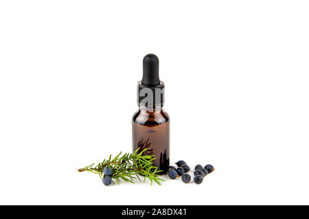 Latin Juniper Juniperus communis berry huile essentielle en flacon compte-gouttes brun, juniper tree branch avec cônes de confier et de baies éparpillés autour, iso Banque D'Images