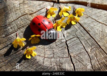 La photo montre une coccinelle avec des fleurs jaunes sur sol en bois Banque D'Images