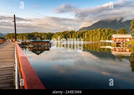 Tofino Harbour, l'île de Vancouver. British Columbia, Canada Banque D'Images