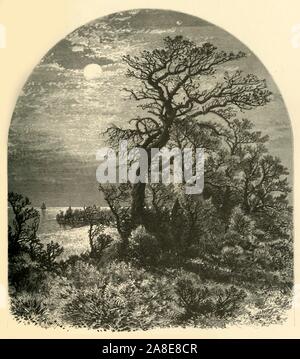 "Point de Cape Ann, à partir de l'avenue Cedar, Pigeon Cove', 1874. La côte et l'océan Atlantique dans le Massachusetts, USA. 'En longeant la côte, après l'émission de Salem Harbor, vous presque immédiatement se rendre dans la vaste péninsule en saillie à l'extrémité de laquelle est Cape Ann, et qui forme la limite nord du Massachusetts Bay... passant de la diversité des beautés de Pigeon Cove, avec sa robustesse de rechange, scintillants, et le feuillage luxuriant, le côté nord de Cape Ann est traversé par une ancienne route, qui parfois passe sous une arche de saules, et de nouveau émerge en vue du w Banque D'Images