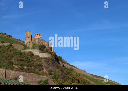 Le Château d'Ehrenfels sur une colline avec ballon à air chaud, près de Rüdesheim, Hesse, Allemagne, partie de la 'Vallée du Haut-Rhin moyen' UNESCO World Heritage site. Banque D'Images