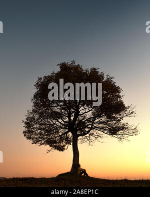 Silhouette d'audience en vertu de l'arbre majestueux au soir prés des montagnes au coucher du soleil. Scène colorée dramatique avec orange ciel clair. Phot de paysage Banque D'Images