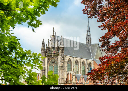 Hooglandse Kerk, vieille cathédrale de style gothique protestante, en partie caché dans le feuillage, Leyde, Pays-Bas Banque D'Images