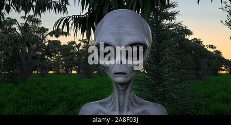 Alien extraterrestre humanoïde gris étant extrêmement détaillées et réalistes et d'images 3D haute résolution Banque D'Images