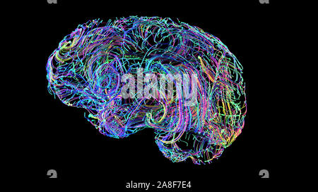 Les connexions du cerveau, illustration conceptuelle Banque D'Images