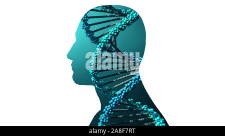 Génome humain, illustration conceptuelle Banque D'Images