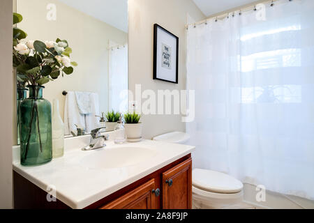 Une petite salle de bains dans un condo de Chicago avec des plantes sur le comptoir comme accent et décoration. Banque D'Images