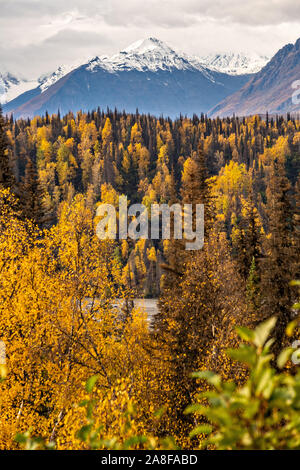 Résiliation la poussière, la neige précoce, tombe sur la chaîne de montagnes de l'Alaska le long de la branche est du fleuve Chulitna en Denali State Park près de Cantwell, Alaska Banque D'Images