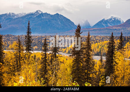 Résiliation la poussière, la neige précoce, tombe sur la chaîne de montagnes de l'Alaska le long de la branche est du fleuve Chulitna en Denali State Park près de Cantwell, Alaska Banque D'Images