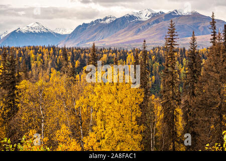 Résiliation la poussière, la neige précoce, tombe sur la chaîne de montagnes de l'Alaska le long de la branche est du fleuve Chulitna en Denali State Park près de Cantwell, Alaska Banque D'Images