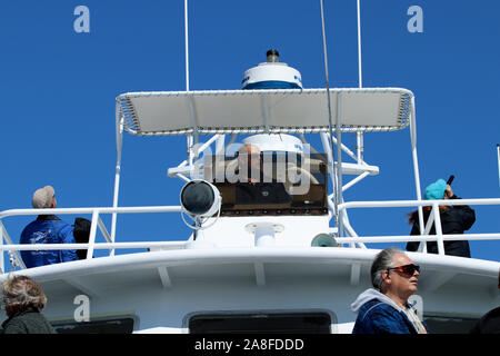 Capitaine d'observation des baleines au pont d'un des navires de la flotte de dauphins à Provincetown, Massachusetts, sur le cap Cod Banque D'Images