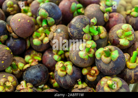 Pile de mangoustan, la reine des fruits. Ces fruits sont trouvés dans tout le sud-est de l'Asie et sont juteux et délicieux. Banque D'Images