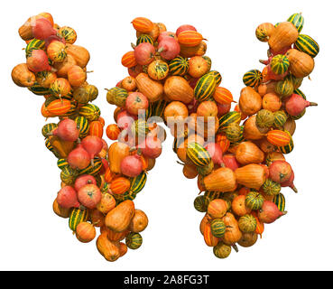 Les citrouilles font, lettre W à partir de courges. Le rendu 3D isolé sur fond blanc isolé sur fond blanc Banque D'Images