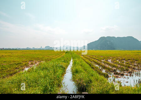 Champs de riz récoltés et les montagnes de calcaire dans le petit village de Tam Coc, Vietnam du Nord Banque D'Images