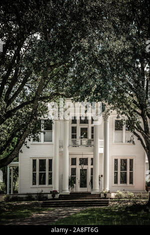 Une maison de style d'avant la conception néoclassique mis en évidence par des colonnes corinthiennes et de grands chênes, de la création d'une entrée de la canopée à Hattiesburg, MS, Banque D'Images