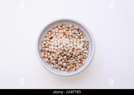 Matières premières non cuits Le sorgho (également connu sous le nom de sorgo) dans un bol blanc, isolé sur fond blanc Banque D'Images