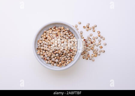 Matières premières non cuits Le sorgho (également connu sous le nom de sorgo) dans un bol blanc, isolé sur fond blanc Banque D'Images