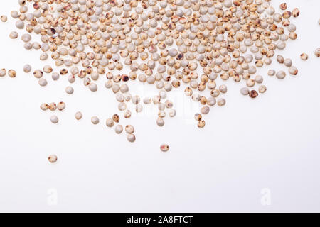 Matières premières non cuits Le sorgho (également connu sous le nom de sorgo) sur fond blanc Banque D'Images