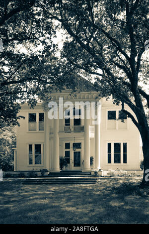 Une maison de style d'avant la conception néoclassique mis en évidence par des colonnes corinthiennes et de grands chênes, de la création d'une entrée de la canopée à Hattiesburg, MS, Banque D'Images