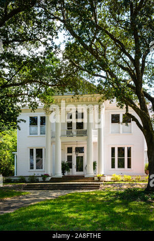 Une maison de style d'avant la conception néoclassique mis en évidence par des colonnes corinthiennes et de grands chênes, de la création d'une entrée de la canopée à Hattiesburg, MS, Banque D'Images