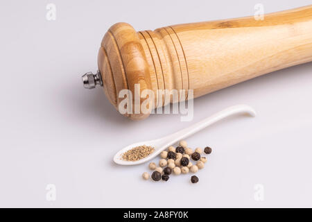 Pepper isolé sur fond blanc, une lumière douce, studio shot, copiez l'espace. Nom latin "Piper nigrum". Banque D'Images